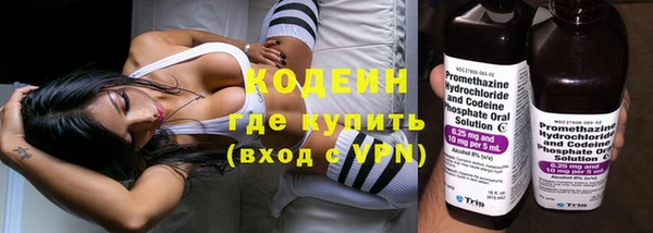 прущая мука Арсеньев