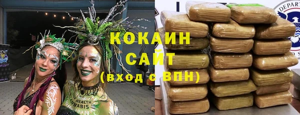 PSILOCYBIN Магас